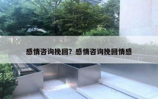 感情咨詢挽回？感情咨詢挽回情感